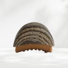 ZEOZOE lymfodrenážna kefa na suchú masáž tváre